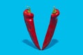 Red pepper split on half standing on blue background Royalty Free Stock Photo