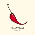 Red pepper vector isolate. Hand drawn illustration sweet bulgarian bell paprika capsicum chili red hot pepper icon logo Royalty Free Stock Photo