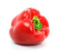 Red pepper vegetable isolated