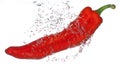 Red pepper with water bubbles isolated on white Royalty Free Stock Photo