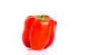 Red pepper on white background - Capiscum annuum Royalty Free Stock Photo