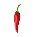 Red Pepper on White Background Vector Illustration Royalty Free Stock Photo