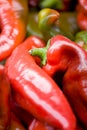 Red peppers Royalty Free Stock Photo