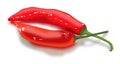 Red peppers as lips