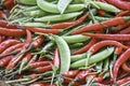 Red peppers and green peas fresh from the garden Royalty Free Stock Photo