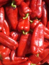 Red peppers heap exhibited for sale