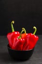 Red peppers in plate on black background - closeup photo of whole fresh ripe sweet vegetables in modern dark mood style for