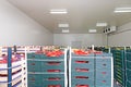 Red Peppers Storage Royalty Free Stock Photo