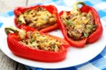 Red peppers stuffed with meat, rice and the vegetables Royalty Free Stock Photo