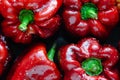 Red peppers on a tray ready to bake. Macro. Top view Royalty Free Stock Photo