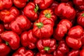 Red Peppers vegetables on the market in autumn time Royalty Free Stock Photo