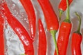 Red peppers in water on white background. Red chilli peppers close-up in liquid with bubbles. Red cilli peppers in water Royalty Free Stock Photo