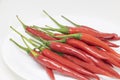 Red peppers on a white plate On a white background Royalty Free Stock Photo