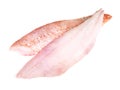 Red Perch Fillet on White