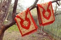 Red persian rugs hanging on the old apple tree for dusting on th Royalty Free Stock Photo