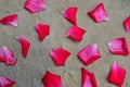 Red petals of rose on stone texture floor Royalty Free Stock Photo