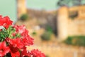 Red petunia flowers against the background of an old fortress in the city of Tossa de Mar in Spain