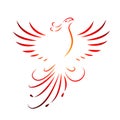 Red phoenix rising wings line drawing isolated on a white background Royalty Free Stock Photo