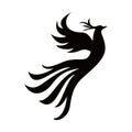 red phoenix silhouette logo design Royalty Free Stock Photo