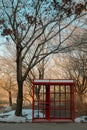 Red phone booth and winter trees at Seoul Forest Park in Seoul, Korea Royalty Free Stock Photo