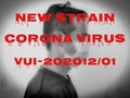 Red phrase New Strain Corona Virus VUI-202012 01 with blurry background.New variant of COVID-19.