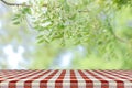 Red picnic table and nature background. Royalty Free Stock Photo