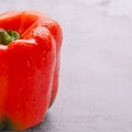 Red Pimiento in Grey Backgrund