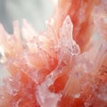 Close-up Portrait Of Pink Quartz Crystals With Watery Reflections