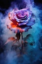 red, pink, cyan fantasy rose. smoke, ashes, fire, flames, embers, powder, explosion, mist, fog, fantasy, surreal, abstract.