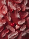 Romance valentine love hearts with soft red feathers background Royalty Free Stock Photo