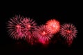 Red and pink fireworks display on dark sky background Royalty Free Stock Photo