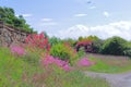 Red and pink flowers Royalty Free Stock Photo