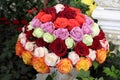 Red, Pink, Green, Orange, Purple Rose Flower Ball in Garden Royalty Free Stock Photo