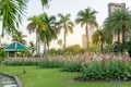 Red and pink Hollyhock flower garden blooming on fresh green grass smooth lawn carpet, green roof pavillion and palm trees on Royalty Free Stock Photo