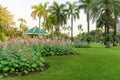 Red and pink Hollyhock flower garden blooming on fresh green grass smooth lawn carpet, green roof pacillion and palm trees on Royalty Free Stock Photo