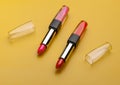 Red and Pink Lipstick Tube for Colorful Glamour Beauty Look