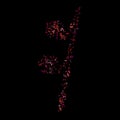 Red, pink and magenta flying musical notes isolated on black background. Royalty Free Stock Photo