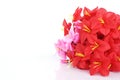 Red and pink plastic flowers Ioslated on white backgrounds Royalty Free Stock Photo