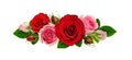 Red and pink rose flowers and green leaves in a line arrangement isolated on white Royalty Free Stock Photo