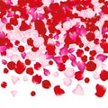 Red and pink rose petals on white. Valentine background. Beauty fashion woman concept