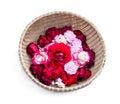 Red and pink rose petals in wicker basket isolated on white Royalty Free Stock Photo