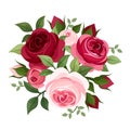 Red and pink roses.