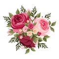 Red and pink roses. Vector illustration. Royalty Free Stock Photo