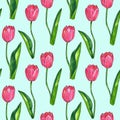 Red pink tulips with leaves. Seamless pattern. Texture for print, fabric, textile, wallpaper. Hand drawn watercolor and ink Royalty Free Stock Photo