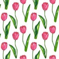 Red pink tulips with leaves. Seamless pattern. Texture for print, fabric, textile, wallpaper. Hand drawn watercolor and ink Royalty Free Stock Photo