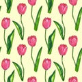 Red pink tulips with leaves. Seamless pattern. Texture for print, fabric, textile, wallpaper. Hand drawn watercolor and ink Royalty Free Stock Photo