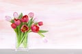 Red and pink tulips in a vase - watercolor backgr