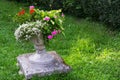 Red, pink and white garden geranium flowers in an old cement pot. Pelargonium. Host. Horizontal orientation. Copy space Royalty Free Stock Photo