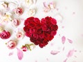 red pink white roses flower and red petal with heart symbol festive floral Valentine day women day Greetings card Royalty Free Stock Photo