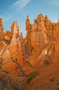 Red pinnacles (hoodoos) of Bryce Canyon Royalty Free Stock Photo